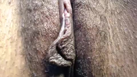 Cutie online show from May 3, 8:50 am