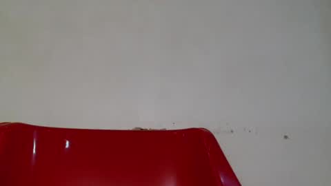 chocolate_ass88 online show from July 13, 7:20 am