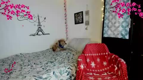 cleo_christmas online show from August 3, 12:36 am