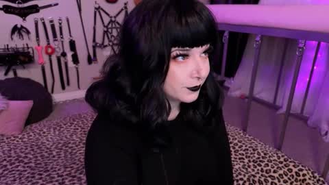 Coco Deville online show from November 29, 12:03 am