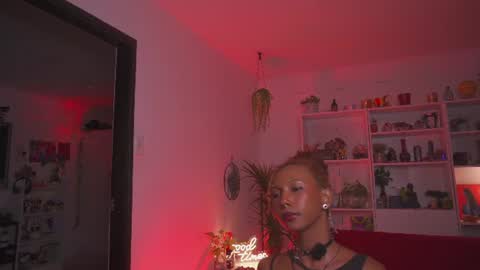 ROSELL 3   online show from August 6, 12:50 am