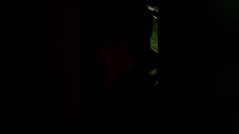 coralwells online show from July 26, 5:04 am