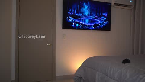 Snapshot of coreybae chatting on January 11, 11:46 pm coreybae online show from January 11, 11:46 pm
