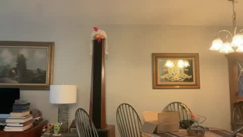 Snapshot of daisy9kat chatting on September 18, 5:44 pm Daisy137 online show from September 18, 5:44 pm