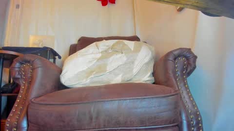 danidollxxx online show from February 25, 5:39 am