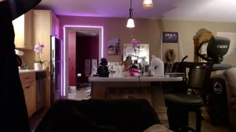 DanikaWhite69 online show from July 16, 2:21 pm