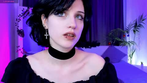 Vamp  online show from December 25, 9:00 pm