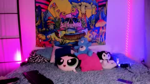 daryimiau online show from January 18, 1:40 pm