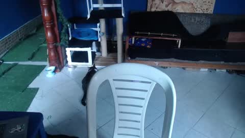 Snapshot of diana_smit_ chatting on February 22, 8:26 pm diana online show from February 22, 8:26 pm