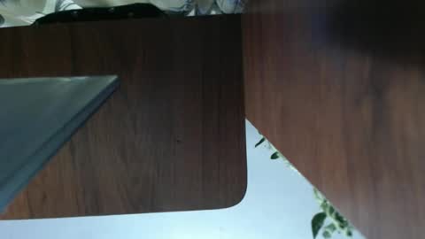 Snapshot of diana_smit_ chatting on January 1, 2:30 am diana online show from January 1, 2:30 am