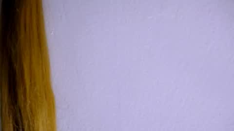 DINA online show from November 23, 7:15 pm