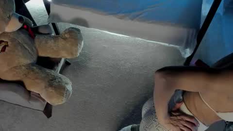 Dorothy Next stream on Monday at 3am-9am online show from February 15, 7:46 pm