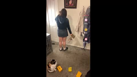 Drippy kitty  online show from January 18, 1:57 am