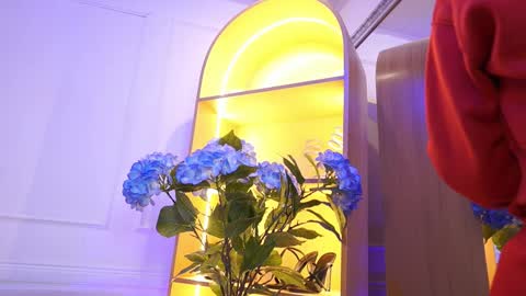 Elasummeer online show from January 15, 12:00 pm