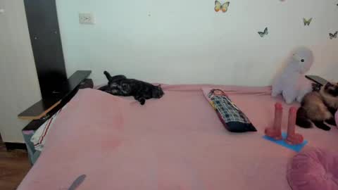 Elsa online show from May 2, 9:40 pm