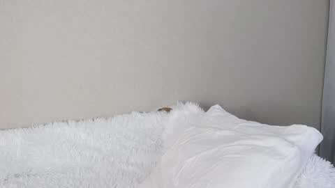 Snapshot of eva_varnerr chatting on February 5, 12:38 pm eva varnerr online show from February 5, 12:38 pm