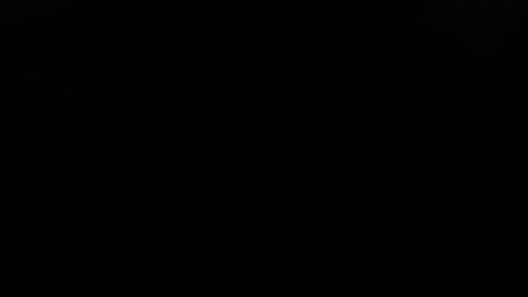 Evelyn online show from December 6, 1:18 am