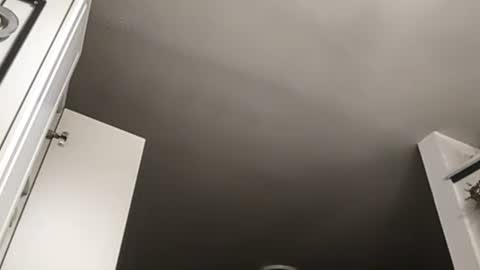 Exoticlexxii online show from November 10, 11:00 pm