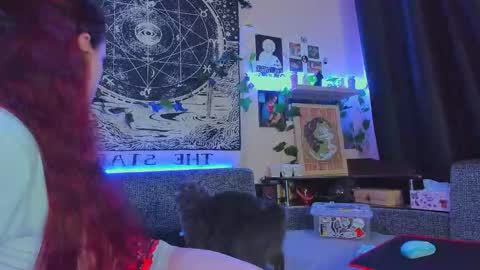 Diva online show from November 20, 2:12 am