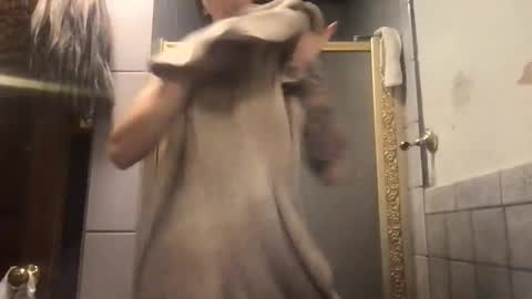 fgsammie online show from November 28, 11:41 pm