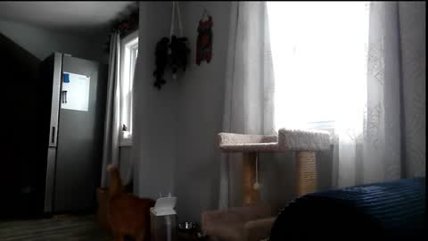 Goddess Natalia Findom online show from December 5, 8:54 pm