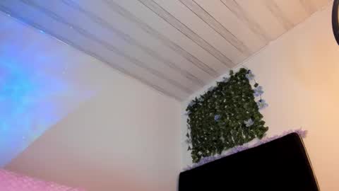 lia online show from February 17, 12:05 pm