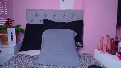 Fox tatto online show from December 13, 10:55 pm