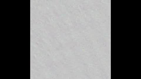 Freya online show from January 28, 11:17 am