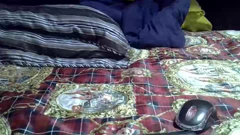 Snapshot of gasielah chatting on September 22, 6:39 pm gasielah online show from September 22, 6:39 pm