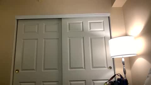 gingerfox777 online show from January 16, 3:56 am