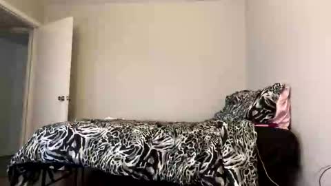 Jade online show from November 8, 9:31 pm