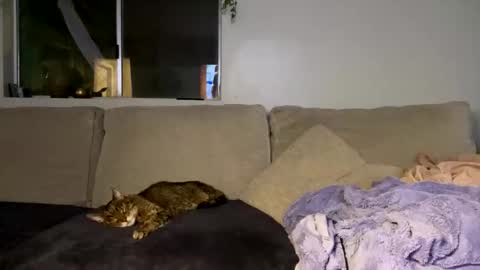Snapshot of goddessmayvn chatting on October 16, 6:05 am GoddessMayvn online show from October 16, 6:05 am