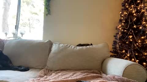 Snapshot of goddessmayvn chatting on December 6, 6:39 pm GoddessMayvn online show from December 6, 6:39 pm
