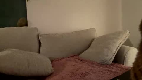 Snapshot of goddessmayvn chatting on February 7, 5:52 am GoddessMayvn online show from February 7, 5:52 am