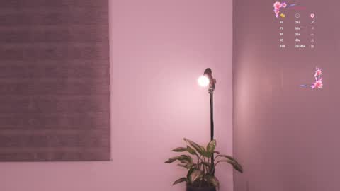 Rose  online show from May 19, 6:31 am