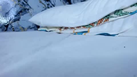 Guadalupe online show from February 12, 8:32 pm