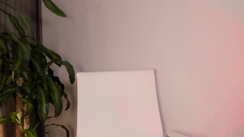 Hailey online show from November 4, 12:04 am