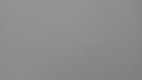 Hailey online show from June 9, 12:21 am