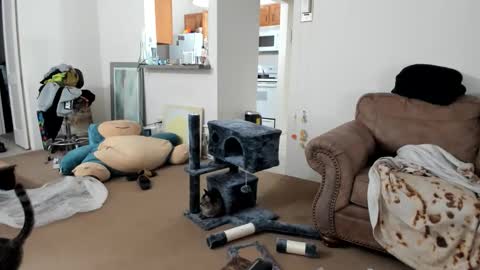 hairypoper online show from January 9, 3:33 am