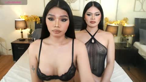 YOUR SIDECHIC HAILEY online show from April 28, 9:24 am