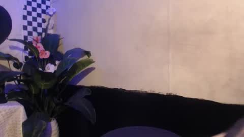 hana_soojin online show from November 20, 3:13 pm