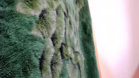 hesttia_ online show from September 28, 10:04 pm