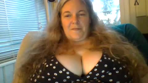 hippysnewhere online show from June 21, 9:35 am