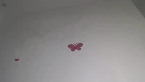 Iris online show from February 7, 9:18 pm