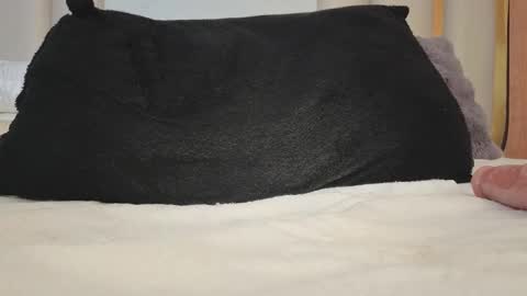 Joy  online show from November 3, 10:08 am