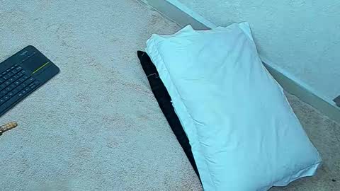 hanna online show from February 28, 9:58 pm