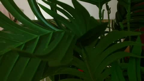 Carrie online show from April 15, 4:29 pm