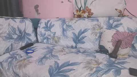 Parul online show from January 11, 9:47 am