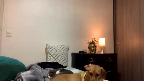 Snapshot of isabelprietoo chatting on October 10, 12:15 am Isa online show from October 10, 12:15 am