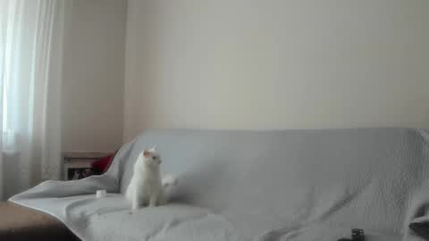 Snapshot of issabelle_69 chatting on September 21, 8:24 am Issabelle online show from September 21, 8:24 am